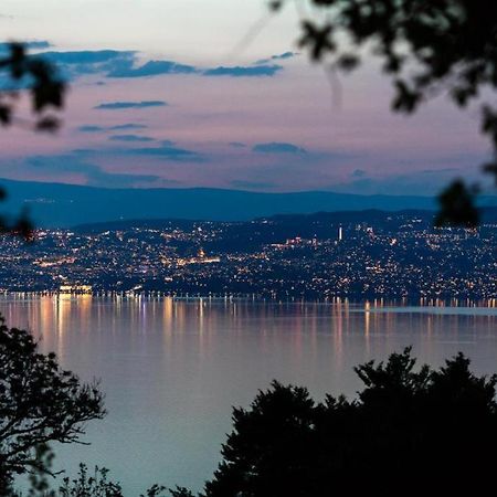 Vue Lac Leman & Piscine - Parking Free - Confort Appart 6 Pers Lugrin Exterior foto