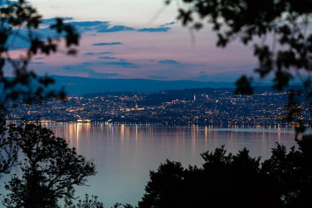 Vue Lac Leman & Piscine - Parking Free - Confort Appart 6 Pers Lugrin Exterior foto