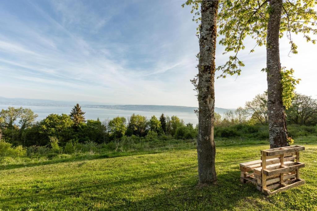 Vue Lac Leman & Piscine - Parking Free - Confort Appart 6 Pers Lugrin Exterior foto